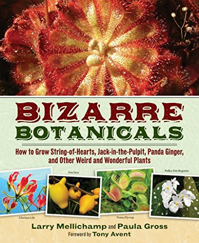 Bizarre Botanicals: How to Grow String-of-Hearts, Jack-in-the-Pulpit, Panda Ginger, and Other Weird and Wonderful Plants